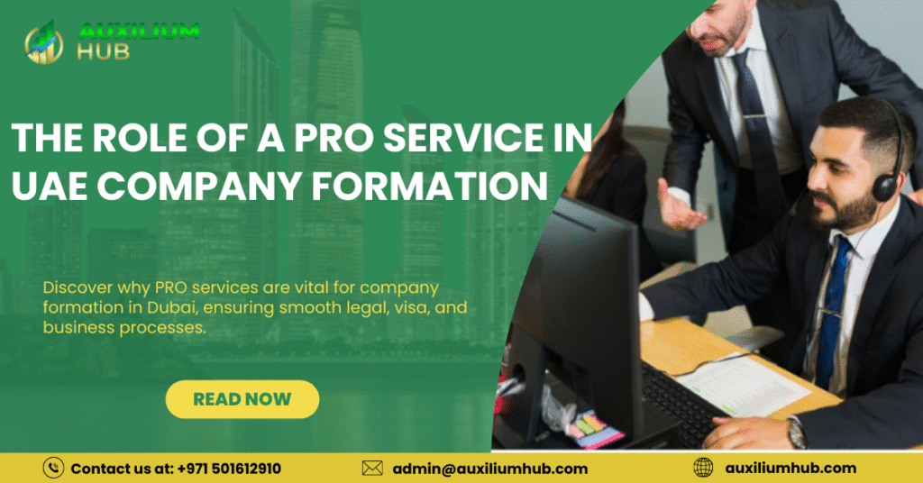 Role of a PRO Service in UAE